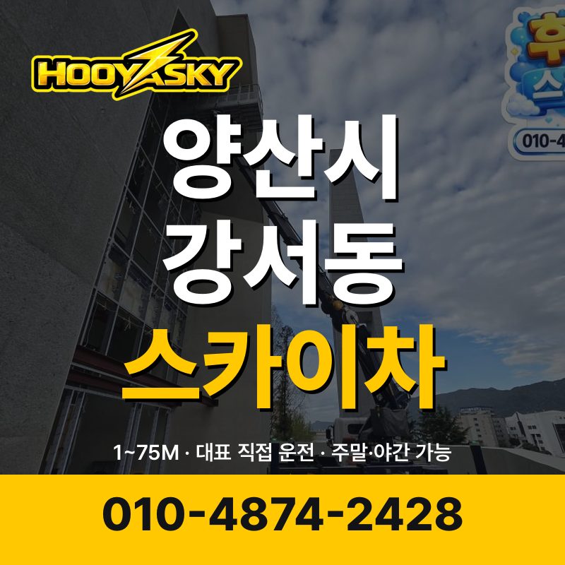양산시 강서동 스카이차 후야스카이 010-4874-2428