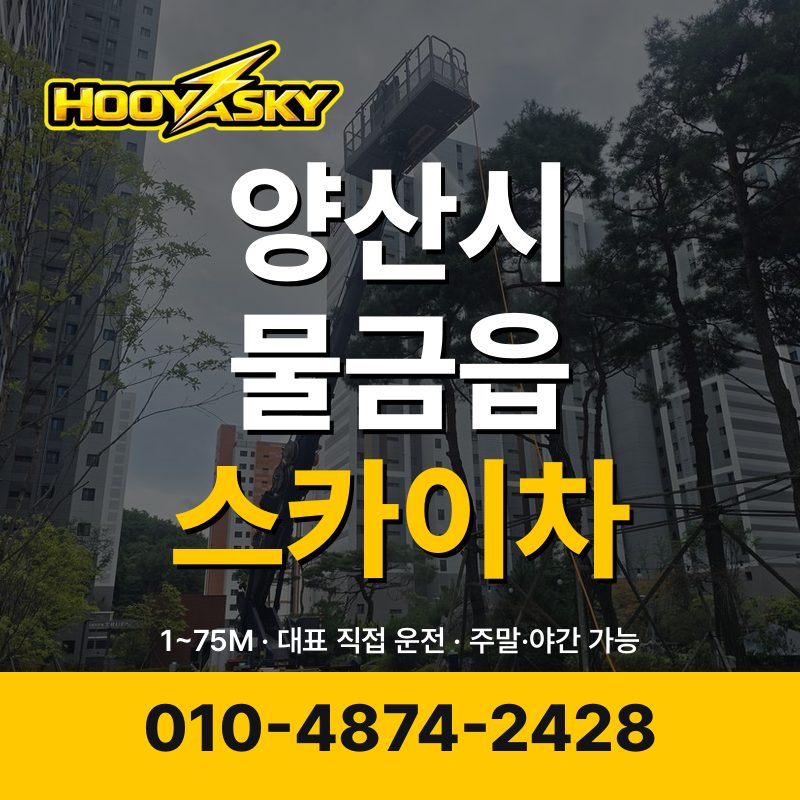 양산시 물금읍 스카이차 후야스카이 010-4874-2428