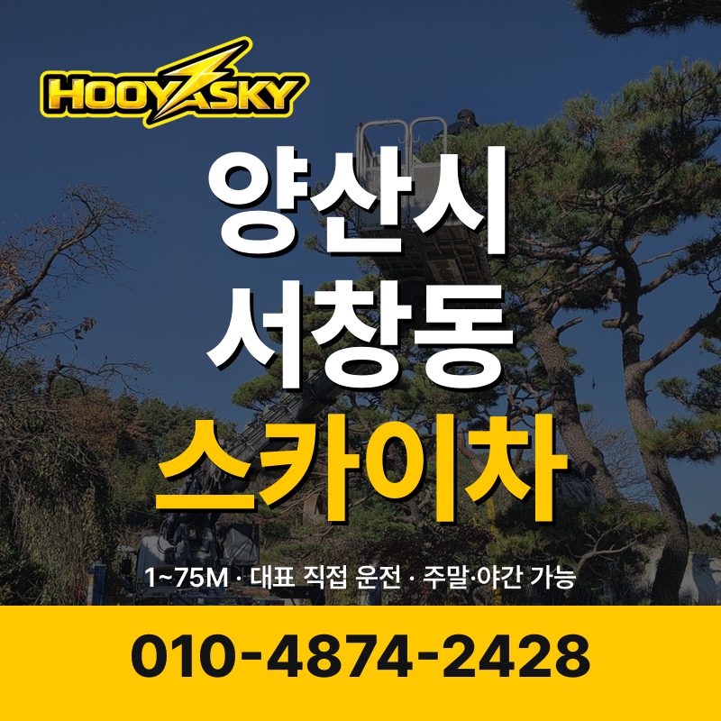양산시 서창동 스카이차 후야스카이 010-4874-2428